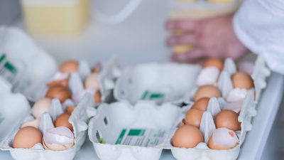 Fipronil-Skandal: EU wusste schon Anfang Juli über Gift-Eier bescheid – Niedersachsens Agrarminister will EU-Task-Force