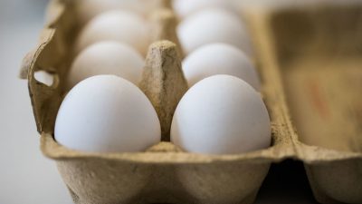 Fipronil-Skandal: Mehr als 28 Millionen Gift-Eier nach Deutschland geliefert