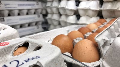 Millionen Eier belastet, hunderte Betriebe gesperrt, Krisensitzung geplant
