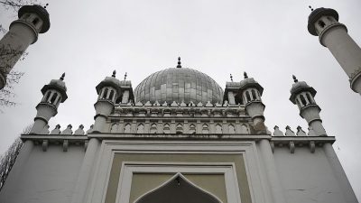 Islam in Deutschland: „Muslime sollten sich von Machtfantasien verabschieden“