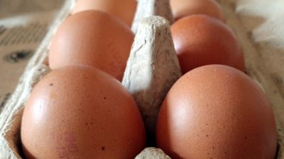 Eier-Skandal: Hoher Millionenschaden für Bauern erwartet