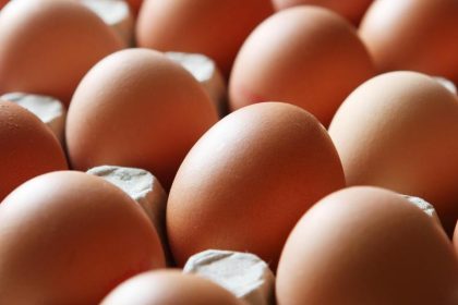 Schweizer Regierung erleichtert Import von Hühnereiern – Bedarf sonst nicht gedeckt