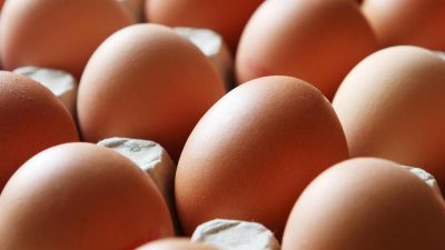 Skandal um verseuchte Eier: Mindestens drei Millionen kontaminierte Eier in Deutschland
