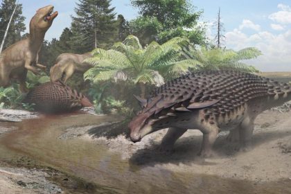 Minenarbeiter entdecken Dinosaurier – Es ist kein Fossil sondern eine Mumie