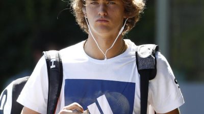 Zverev und Damen-Duo in Washington im Halbfinale