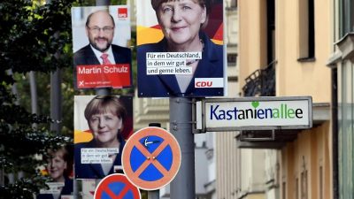 ARD-Wahlumfrage: SPD nur noch acht Prozentpunkte vor AfD