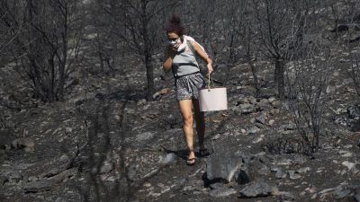 Griechischer Vize-Minister nach verheerenden Waldbränden zurückgetreten