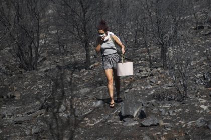 Griechischer Vize-Minister nach verheerenden Waldbränden zurückgetreten