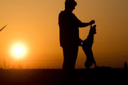 Hündin Mama und ihr Welpe wurden gerettet – Röntgenbilder offenbaren Geheimnis
