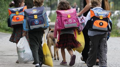 Niveau an deutschen Schulen sinkt – Grund: Zunehmend heterogene Schülerschaft