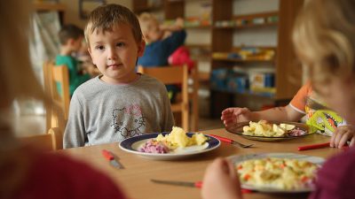 Furore in Österreichs Amstetten: Kindergarten streicht Schweinefleisch von Speisekarte