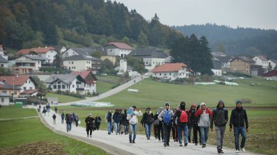 58 Prozent der erwachsenen Asylbewerber kommt ohne Dokumente nach Deutschland