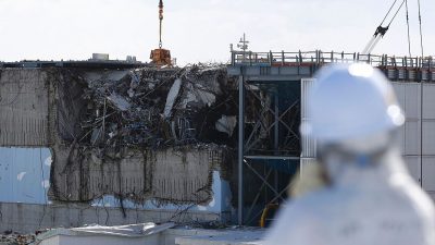 Fukushima: Greenpeace warnt vor hoher Radioaktivität