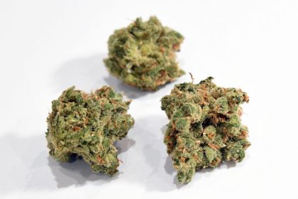 Cannabis auf Rezept: Starke Nachfrage bei den Krankenkassen