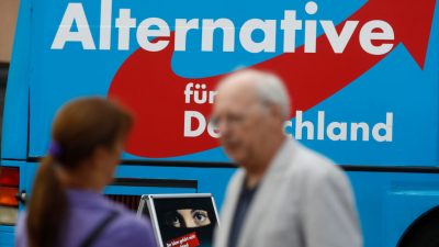 Wahlforscher: Medien und Parteien haben AfD im Schlussspurt erst groß gemacht