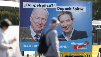 Forsa-Chef: AfD wird nach Einzug in Bundestag rasch zerfallen