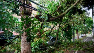 Schwerer Sturm im Westen Rumäniens – mindestens acht Tote