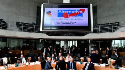AfD will am Mittwoch Kandidaten für Bundestagsvize benennen