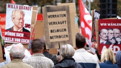 Die Politik sollte die Grundversorgung verbessern – AfD gewinnt in den armen und überalterten Gebieten Deutschlands