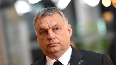Grüne fordern Unterstützung für Sanktionen gegen Ungarn