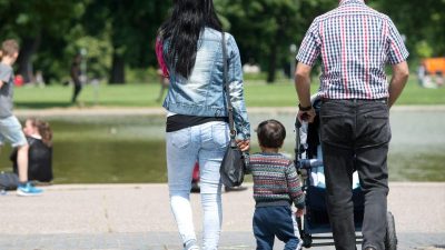 Zur Anfrage der AfD-Fraktion auf deutsches Kindergeld für im Ausland lebende Kinder