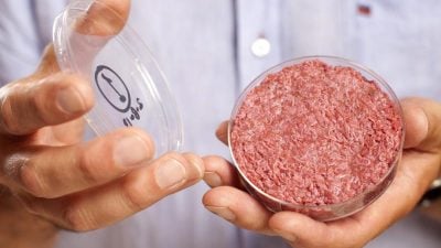 USA: Florida verbietet als erster Bundesstaat künstliches Fleisch aus dem Labor