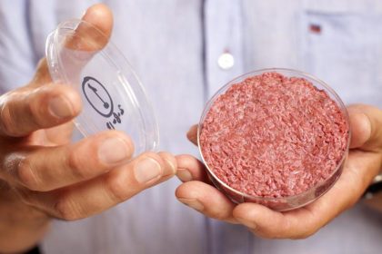 Wiesenhof investiert in Kunstfleisch-Erzeugung – Bauernverband sieht kein Potenzial bei In-Vitro-Fleisch