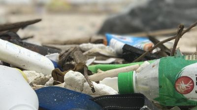 Tsunami-Folge: Tiere reisen auf Plastik-Flößen nach Amerika