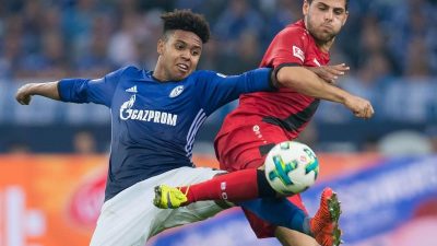 Schalke nur Unentschieden gegen Leverkusen