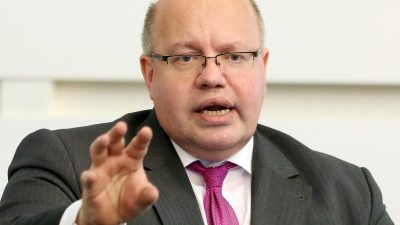 Kanzleramtsminister Altmaier: SPD hat Mitschuld am AfD-Erfolg