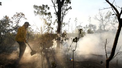 Brasilien: Feuer zerstört ein Viertel des Nationalparkes Chapada dos Veadeiros