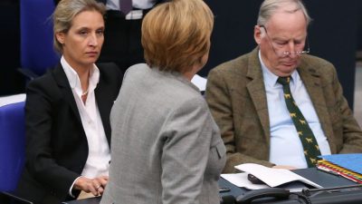 AfD fordert Rückzug von Merkel – Gauland zum Scheitern der Jamaika-Sondierungen: „AfD wirkt“