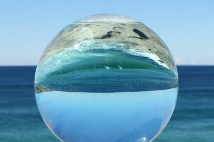 Revillagigedo-Inseln werden größtes Naturschutzgebiet Nordamerikas ohne Fischfang