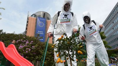 Unkrautvernichter Glyphosat: EU-Staaten beraten über weitere Zulassung