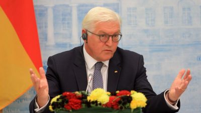 AfD im Kieler Landtag sieht Positionen zur Flüchtlingspoltik durch Steinmeiers Rede bestätigt