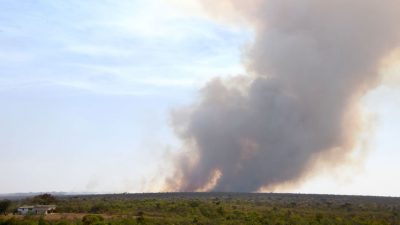 Großbrand in Savannen-Naturpark in Brasilien – Bereits mehr als 65.000 Hektar Wald zerstört