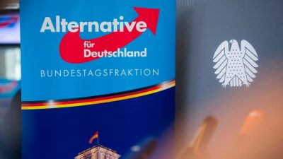 Niedersachsen: Meuthen führt AfD-Ergebnis auf Zweikampf zwischen SPD und CDU zurück