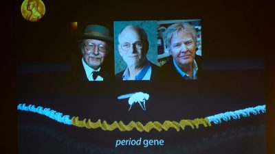 Medizin-Nobelpreis geht an drei US-Chronobiologen