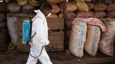 Zahl der Pest-Toten in Madagaskar auf mehr als 90 gestiegen