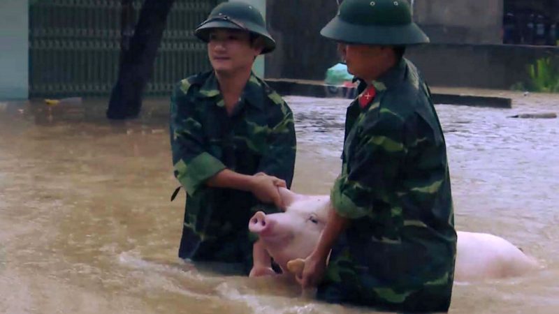 Schwere Überschwemmungen in Vietnam – mindestens 37 Tote
