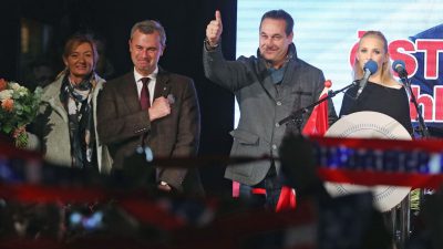 AfD erfreut über starkes Abschneiden von FPÖ in Österreich