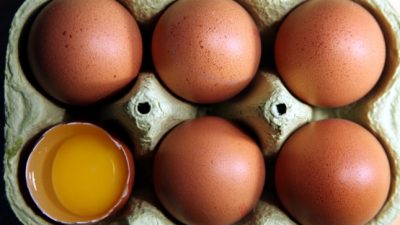 Eier werden künftig bis zu 30 Prozent teurer – Preise für Nahrungsmittel stiegen im Oktober um 4,3 Prozent