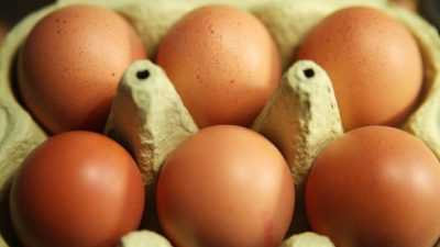 Aldi Süd kündigt Preiserhöhung für Eier an