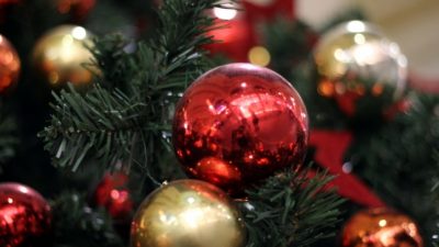 Weihnachtsbaum-Preise bleiben stabil