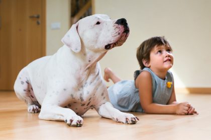 Eine besondere Freundschaft: Die kleine Jennie und ihre blinde Dogge sind unzertrennlich