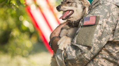 Ein Soldat „lässt keinen Freund zurück“: US Armeespezialist adoptiert Hund Ollie im Irak