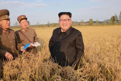 Erstmals seit zwei Jahren: Nord- und Südkorea kommunizieren über Hotline