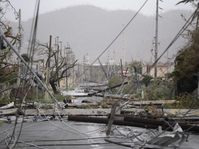 Zerstörte Stromleitungen in Puerto Rico nach dem Durchzug von Hurrikan «Maria». Foto: Carlos Giusti/dpa