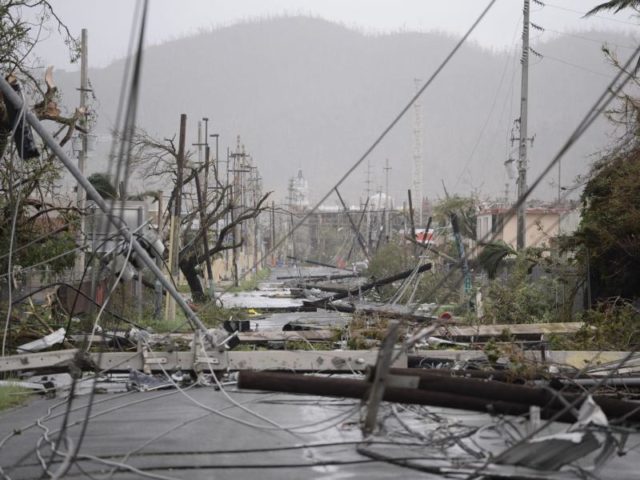 Zerstörte Stromleitungen in Humacao: Das Stromnetz von Puerto Rico war zeitweise fast völlig zusammengebrochenm. Foto: Carlos Giusti/dpa