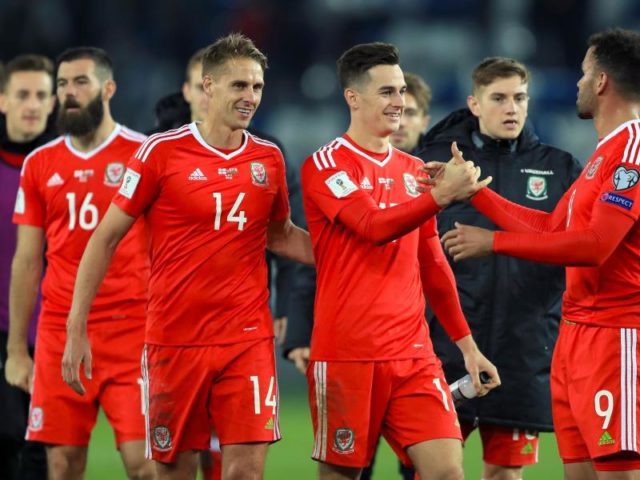 Die Spieler von Wales bejubeln den 1:0-Sieg in Tiflis gegen Georgien. Foto: Tim Goode/dpa
